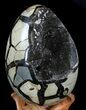 Septarian Dragon Egg Geode - Shiny Black Crystals #36049-1